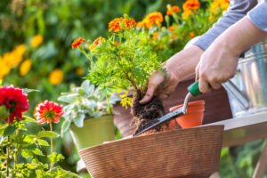 April Gardening Tips!